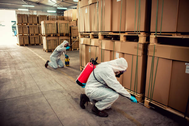 Best Residential Pest Control  in Hamlin, WV