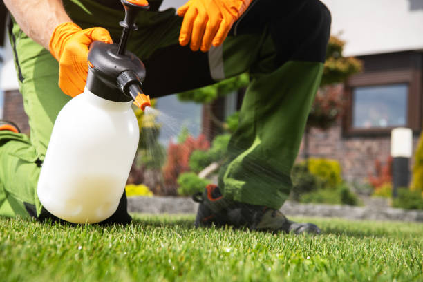 Best Wildlife Control Services  in Hamlin, WV