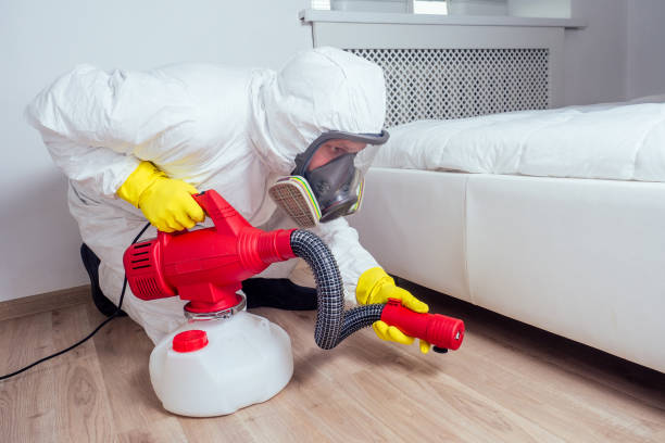 Best Pest Removal Services  in Hamlin, WV