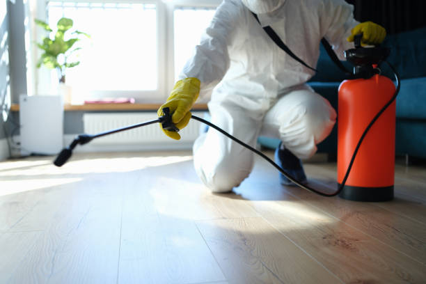 Trusted Hamlin, WV Pest Control Experts