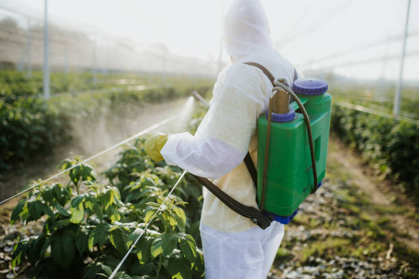 Best Bed Bug Extermination  in Hamlin, WV